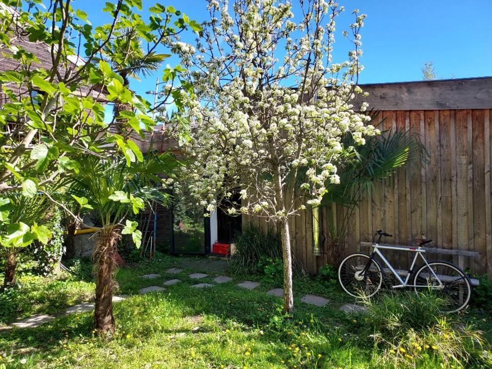 Un Jardin En Ville Toulouse Exterior foto
