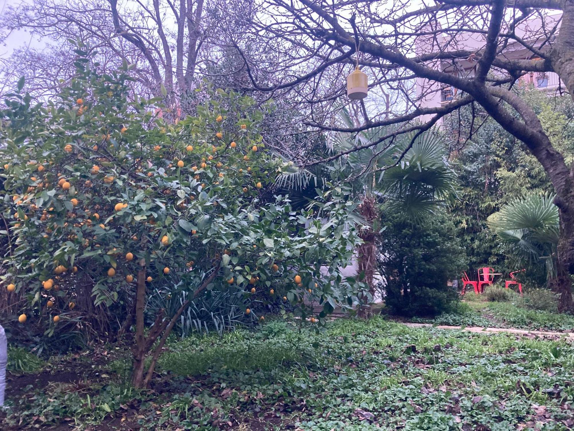 Un Jardin En Ville Toulouse Exterior foto
